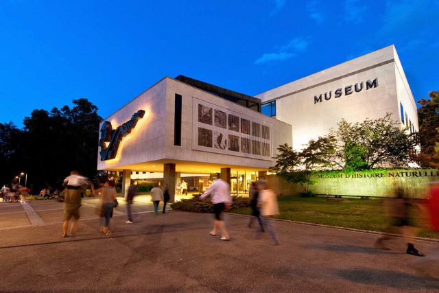 Muséum d’histoire naturelle de la Ville de Genève